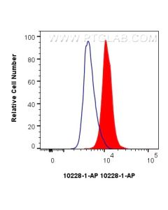 Nucleobindin 1 Polyclonal antibody 10228-1-AP proteintech