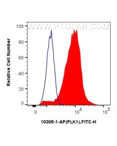 PLK1 Polyclonal antibody 10305-1-AP proteintech