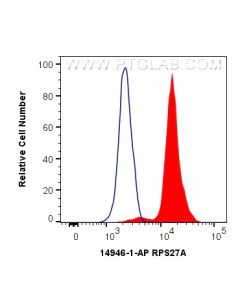 RPS27A Polyclonal antibody 14946-1-AP proteintech