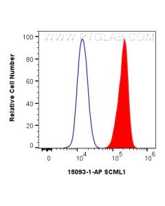 SCML1 Polyclonal antibody 15093-1-AP proteintech