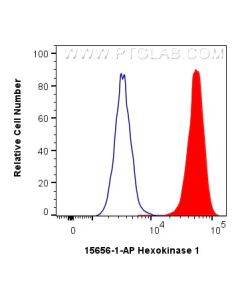 Hexokinase 1 Polyclonal antibody 15656-1-AP proteintech