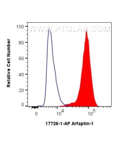 Arfaptin-1 Polyclonal antibody 17726-1-AP proteintech