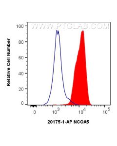 NCOA5 Polyclonal antibody 20175-1-AP proteintech
