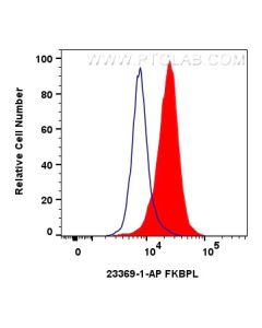 FKBPL Polyclonal antibody 23369-1-AP proteintech