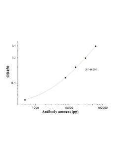 SARS-CoV-2 S protein (126-264 aa) Polyclonal antibody 28869-1-AP proteintech