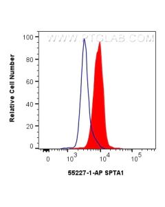 SPTA1 Polyclonal antibody 55227-1-AP proteintech