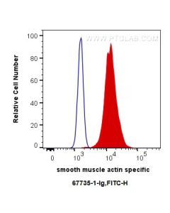 Alpha smooth muscle actin specific Monoclonal antibody, PBS Only 67735-1-PBS proteintech