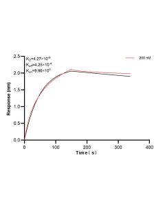 p38 MAPK Recombinant monoclonal antibody, PBS Only (Capture) 80821-5-PBS proteintech