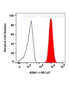 LAT Recombinant monoclonal antibody 82901-1-RR proteintech