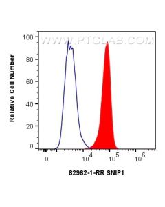 SNIP1 Recombinant monoclonal antibody 82962-1-RR proteintech