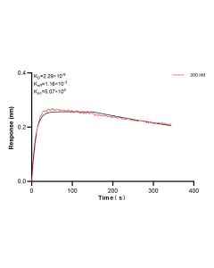 PTPRS Recombinant monoclonal antibody, PBS Only 83833-2-PBS proteintech