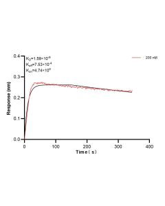 PTPRS Recombinant monoclonal antibody, PBS Only (Capture) 83833-4-PBS proteintech