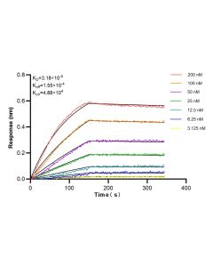 Cas9 Recombinant monoclonal antibody, PBS Only 85389-1-PBS proteintech