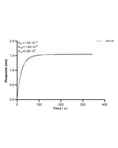Mouse IL-27A p28 Recombinant monoclonal antibody, PBS Only (Capture) 85795-3-PBS proteintech