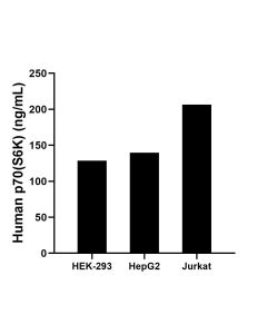 p70(S6K) Recombinant monoclonal antibody, PBS Only (Capture) 87391-4-PBS proteintech