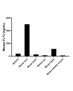 Mouse Flt-3/Flk-2 Recombinant monoclonal antibody, PBS Only (Detector) 87488-1-PBS proteintech