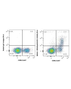 Anti-Human NKp46/NCR1 Rabbit Recombinant Antibody, PBS Only 98340-1-PBS proteintech