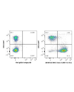 Atlantic Blue™ Anti-Mouse MHC Class II (I-A/I-E) (M5/114.15.2) AB-65122 proteintech