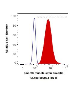 CoraLite® Plus 488-conjugated Alpha smooth muscle actin specific Recombinant monoclonal antibody CL488-80008 proteintech