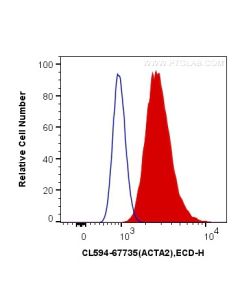 CoraLite®594-conjugated Alpha smooth muscle actin specific Monoclonal antibody CL594-67735 proteintech