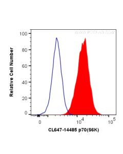 CoraLite® Plus 647-conjugated p70(S6K) Polyclonal antibody CL647-14485 proteintech