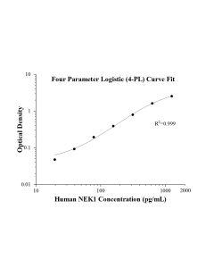 Human NEK1 ELISA Kit KE01062 proteintech