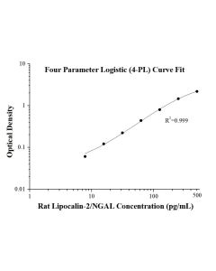 Rat Lipocalin-2/NGAL ELISA Kit KE20034 proteintech