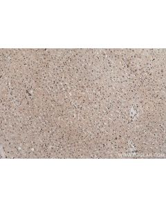 IHC easy ® UBXN1 Ready-To-Use IHC Kit KHC1006 proteintech