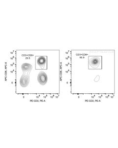 Human CD8 T Cell Isolation Kit KMS303 proteintech