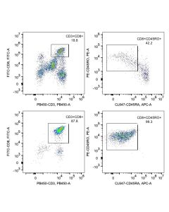 Human CD8 Memory T Cell Isolation Kit KMS307 proteintech