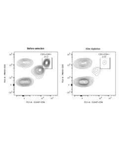 Streptavidin magnetic beads MS001 proteintech