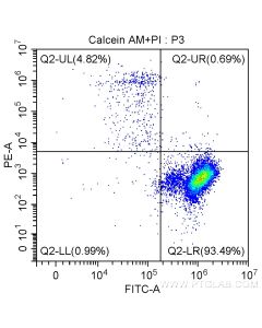 Viability/Cytotoxicity Assay Kit for Animal Live & Dead Cells (Calcein AM, PI Method) PF00007 proteintech