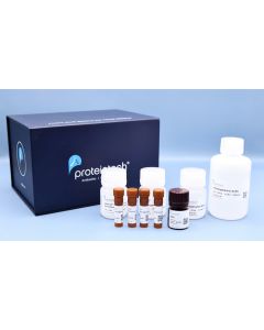 Five color TSA Detect Kit for Rabbit Primary Antibody PK10035 proteintech