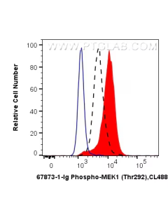ERK-MAPK Pathway Antibody Kit PK30019 proteintech