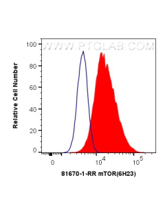 mTOR Substrates Antibody Kit PK30025 proteintech