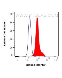 Cuproptosis Essentials Antibody Sampler Kit PK30028 proteintech