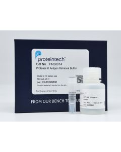 Protease K Antigen Retrieval Buffer PR30014 proteintech
