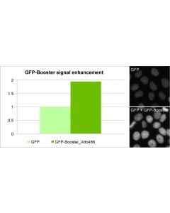 ChromoTek GFP-Booster ATTO647N gba647n proteintech