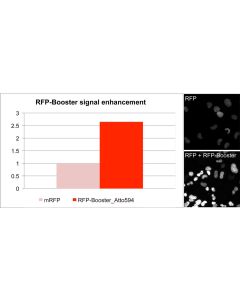 ChromoTek RFP-Booster ATTO594 rba594 proteintech