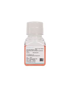 Nanobacteria Removal Medium (Leibovitz's L-15) procell PM151010-HR