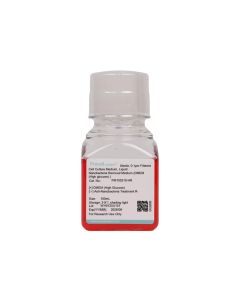 Nanobacteria Removal Medium (DMEM (High glucose) ) procell PM150210-HR