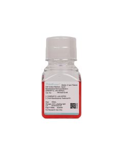Nanobacteria Removal Medium (DMEM/F12, with HEPES) procell PM150310-HR