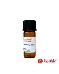 SSX1/2/3/4/5/6/7/8/9 Antibody Blocking Peptide solarbio K107517P-Ag