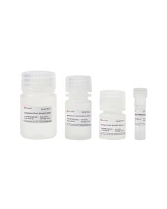 Cytoplasmic, Membrane and Nuclear proteins Separation and Extraction Kit servicebio G3742-50T