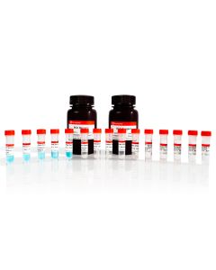 BCA Protein Quantitative Detection Kit servicebio G2026-1000T