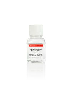 RNase Inactivating Solution (25×) servicebio G3031-100ML