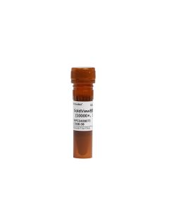 GoldView Nucleic Acid Dye (10000×, Water Soluble) servicebio G3073-1ML
