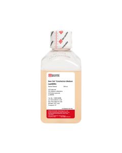 Swe Cell Transfection Medium servicebio G4568-500ML