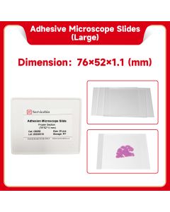 Adhesive Glass Slides (Frozen Sections, Special Large Glass Slides) servicebio G6058-20
