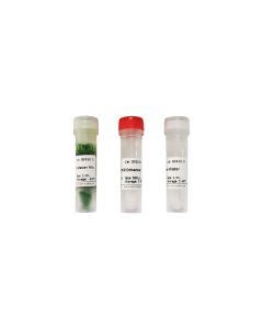 Blood Direct PCR Kit servicebio G3312-01